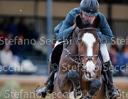 Agosta Dario, Berenice GioCav2013 S5 2354 : Agosta Dario, Berenice, Campionati Italiani Giovani Cavalli, Cattolica, ph Stefano Secchi ©